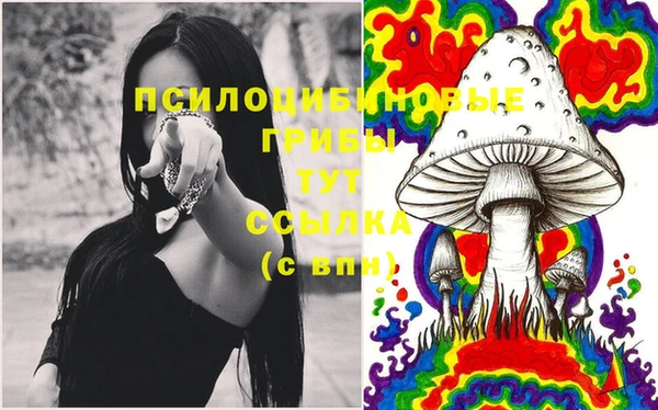 тгк Наволоки
