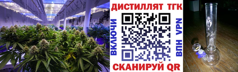 ТГК THC oil  Купить закладки  Партизанск 